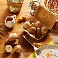 Tiny Land Egg Combo Playset